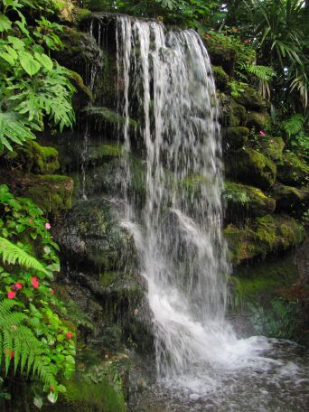 aviarywaterfall